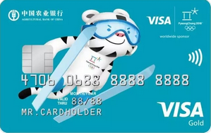 農(nóng)行Visa2018冬奧會(huì)主題信用卡 金卡(藍(lán))